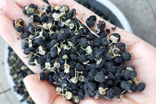 Chino que embala Herb Drink Pure Dry Black Goji Berry Tea del OEM
